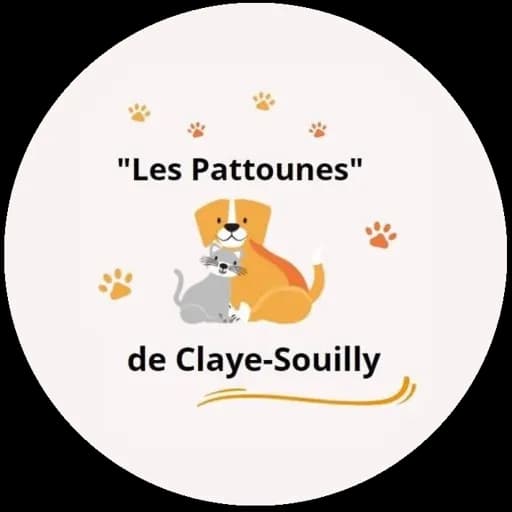 Les pattounes de Claye-Souilly