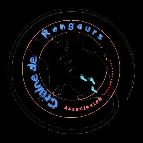 Graine de Rongeurs