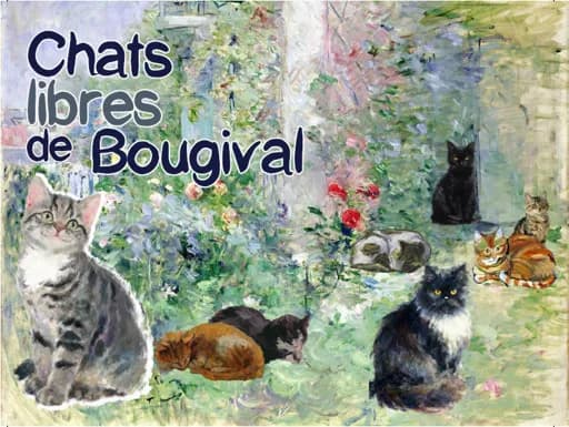 Chats libres de Bougival