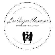 LE SANCTUAIRE DES ANGES PLEUREURS