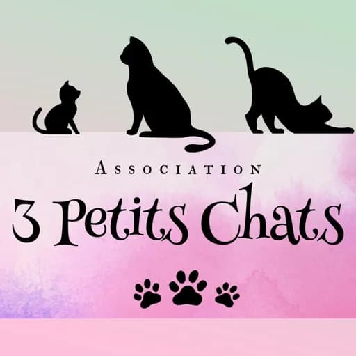 3 petits chats