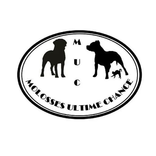 Molosses Ultime Chance