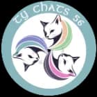 Ty chats  56