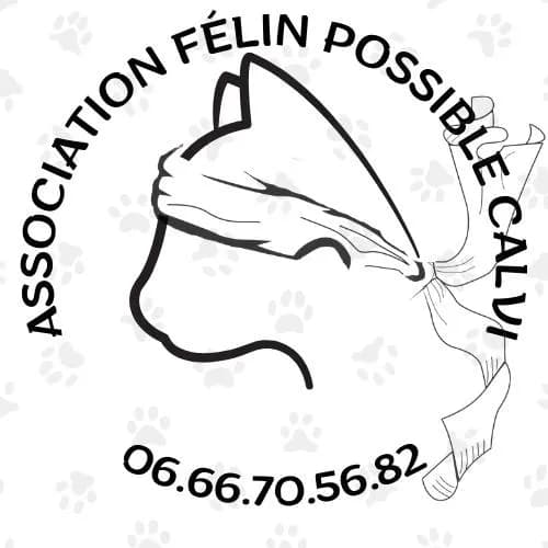 Félin possible