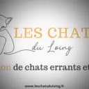 Les Chats du Loing