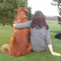 Coeur de chien libre