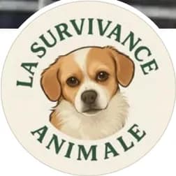 La Survivance Animale