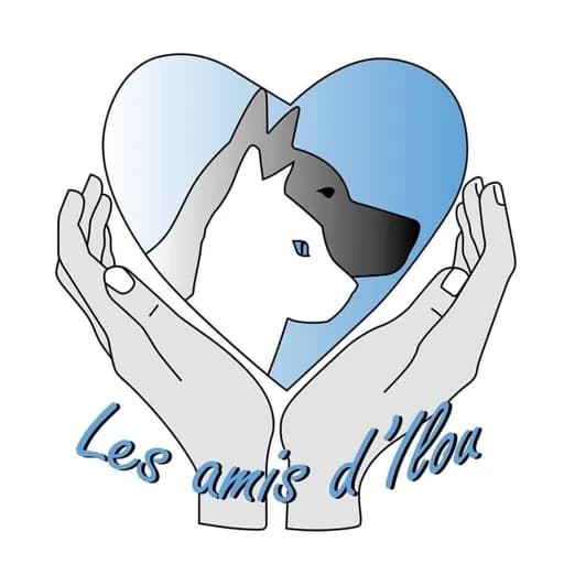LADI Les amis d'Ilou