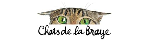 CHATS DE LA BRAYE