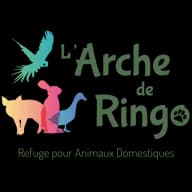 Refuge pour animaux domestiques