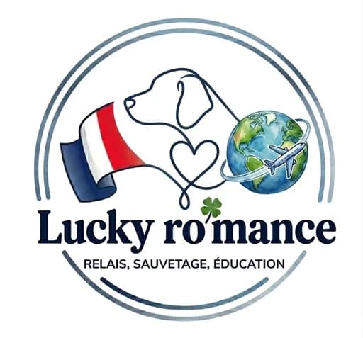 Lucky Ro'mance