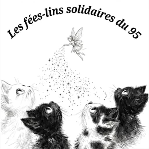 Les Fées-lins solidaires du 95