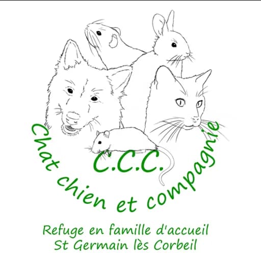 Chat Chien & Cie