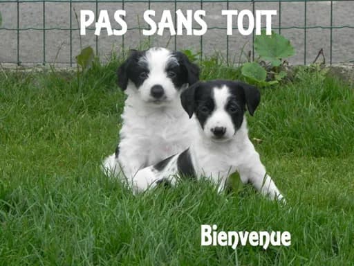 Pas Sans Toit
