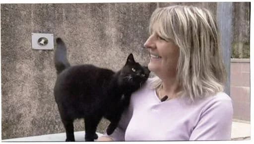 Mon ami le chat - Refuge de Thimonville