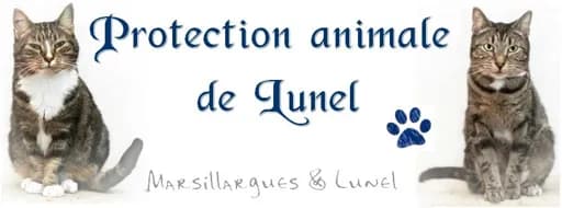 Protection Animale de Lunel