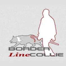 BorderlineCollie