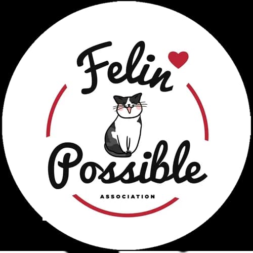 Félin possible 76