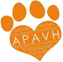 A.P.A.V.H