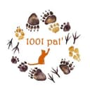 1001 pat'