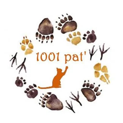 1001 pat'