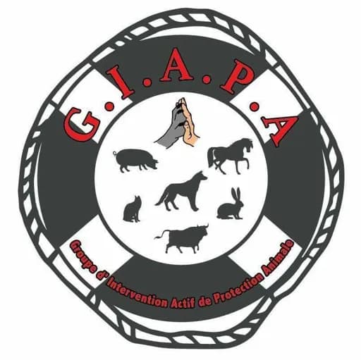 A.giapa