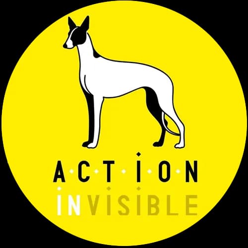 Action Invisible