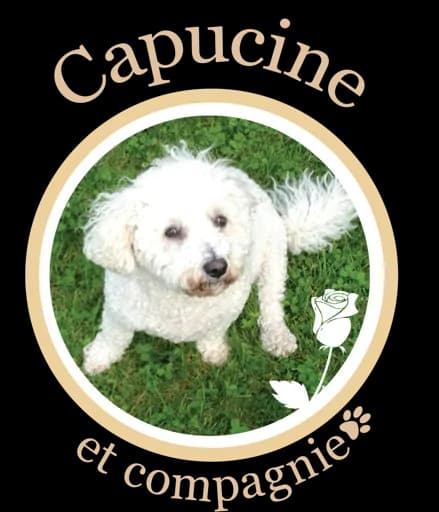 Capucine et compagnie