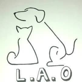 Les animaux oubliés