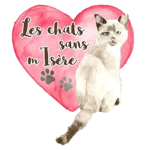 Les chats Sans Misère