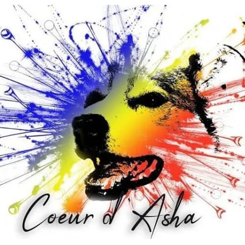 Coeur d'Asha