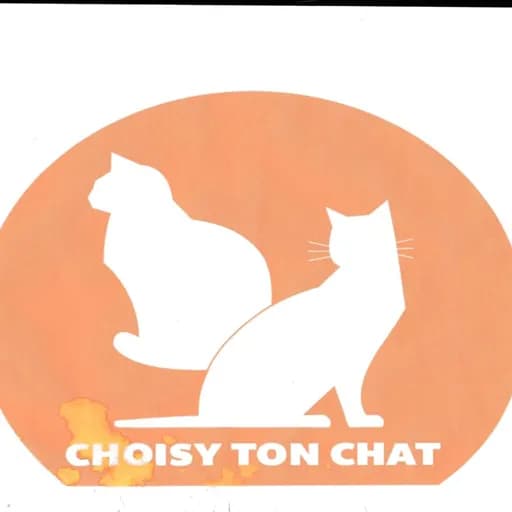 Choisytonchat94