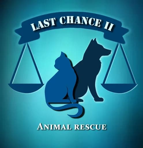Last Chance 2