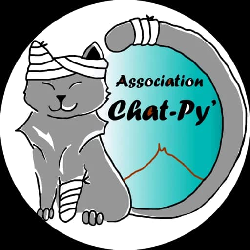 Chatpy