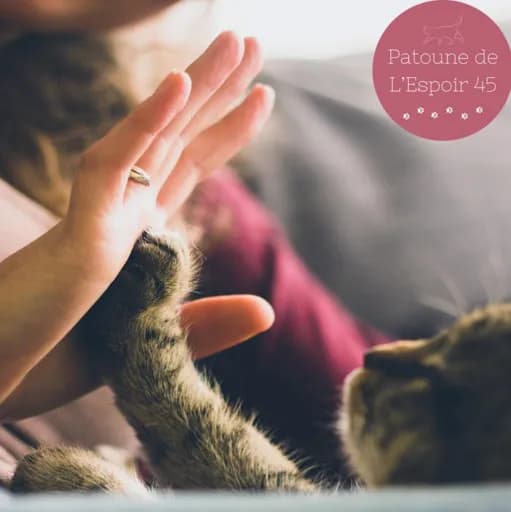 Patounes de l'espoir 45